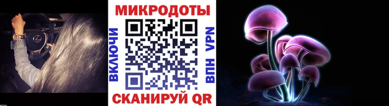 где продают   Вичуга  omg tor  Псилоцибиновые грибы Psilocybe 